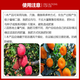 Manmanlong Compound Fertilizer 15-15-15 High Concentration Potassium Sulfate Nitrogen Phosphorus Potassium Balanced Fertilizer for Fruit Trees, Vegetables and Flowers Universal Balanced Compound Fertilizer 100Jin Jin is equal to 0.5kg *10 bags (half a ton)