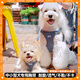 Puppytie dog leash vest style dog walking leash Teddy dog ​​rope adjustable leash small and medium-sized dog harness Denim blue - harness + leash XXS - mini recommended 1-6 Jin Jin equals 0.5 kg