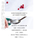 Jingdong flowers imported holly (40-45CM) cut 3 branches free hanging card red fruit flowers interior decoration flowers straight from the source