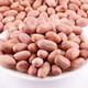 New Peanut Rice Shandong Shelled Peanut Rice Loose Peanut Rice Peanut Rice Large Peanut Kernel Pressed for Oil and Drink 5 Jin Jin is equal to 0.5 kg Shelled Peanut Rice Medium Fruit 5 Jin Jin is equal to 0.5 kg