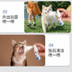 Pet oral spray to remove bad breath and mouth guard spray, dog mouthwash, cat oral antibacterial and odor-removing tooth cleaning water, oral spray*2