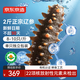 Made in Tokyo, Dalian organic fresh sea cucumber 1kg 16-20 pieces, solid content not less than 75%, ready-to-eat sea cucumber gift box