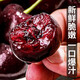 Fenlan Chilean cherries JD SF Express - next-day delivery to many places Imported large cherry gift box New Year's Day gift fruit 2Jin Jin equals 0.5kg (net weight) Extra large fruit 3J grade 30mm+