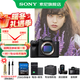Sony (SONY) ILCE-7M4 full-frame mirrorless digital camera, five-axis anti-shake, 4K 60p video recording a7m4 A7M4 stand-alone 256+D11+battery+stand charger+clear+wristband+screen official standard configuration