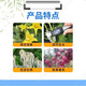 Quanfeng 98% ethanol DA-6 improves chlorophyll, drought resistance, cold resistance, flower preservation, fruit promotion, plant growth regulator 1kg (1 pack)