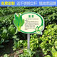 Introduction to Vinoya vegetables, vegetable garden vegetable patch, vegetable signage, vegetable variety display board, introduction to vegetables and fruits, 20x30cm (smaller size) 01 type + free stainless steel pole and screws