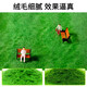 Grass powder diy material grass powder sand table building model material handmade diy sand table grass powder sand table green grass powder yellow green 30g diy handmade grass powder