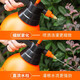 Household watering kettle for watering flowers, kettle for plants and flowers, special watering kettle, air pressure car wash sprayer, green plant watering kettle, 3L fine spray