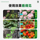 Instant high-efficiency compound fertilizer nitrogen, phosphorus and potassium general flower, fruit and vegetable compound fertilizer nitrogen, phosphorus and potassium fertilizer 10-100Jin Jin equals 0.5kg High-efficiency instant multi-element compound fertilizer 100Jin Jin equals 0.5kg