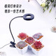 CPAI plant fill light for succulents USB clip-type simple artistic light green plant light LED growth light bar type full spectrum clip light (adjustable brightness/mode and timer)