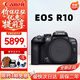 Canon Canon R10 mirrorless camera 4K digital high-definition entry-level home travel high-speed continuous shooting vlog video shooting R10 new official single body official standard battery + shoulder strap + base charger