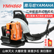 Wuyang Yilang engine snow blower high-power gasoline hair dryer backpack wind fire extinguisher fallen leaf cleaning greenhouse imported engine pure gasoline YMH0928