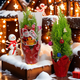 Merry Christmas small pine potted plant
