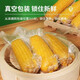 Fresh vacuum yellow corn heated ready-to-eat big sticks starting from 200g single stick for meal replacement breakfast essential supermarket live broadcast room 200g*3 sticks