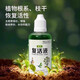 Plant and flower rejuvenation liquid is specially designed for the yellowing of plant stems and leaf drop, rapid growth and active rooting liquid to strengthen seedlings. Plant rejuvenation liquid 50ml*1 bottle, trial pack