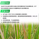 30% metalaxalin, soil disinfectant, fungicide pesticide, special medicine for root rot, blight, damping-off, 500g*1 bottle