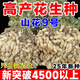 25-year-old new agricultural science peanut seeds, large seeds, disease-resistant, drought-tolerant, stable yield, shelled and flood-resistant field seeds and fruits, 25-year-old new seeds, thin shells and large fruits, Shanhua No. 9, no regrets if you don’t buy it, super original species 10Jin Jin equals 0.5kg, can be distributed in seed breeding base