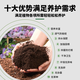 Nutrient soil for flower cultivation, general special flower soil, nutrient soil, general flower planting soil, household potted flower plant planting soil, soft and fertile, universal type, 10 Jin Jin is equal to 0.5 kg