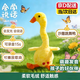Strange Jun Dudu Duck Talking Little Yellow Duck Baby Toy 0-1 Years Old Exercise Intelligence Cactus Dancing Duck Recording Talking Little Yellow Duck Rechargeable Model