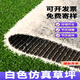 White artificial lawn carpet, ski resort landscaping decoration, outdoor football field paving, artificial plastic fake turf, 2.5 cm white high-end special density model, export quality, 1 meter wide*1 meter long