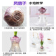Jingdong Flowers Hyacinth imported from the Netherlands 1/single color vase with buds indoor potted hydroponic green plants flowers straight from the source