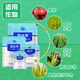 Guoguang Potassium Guoguang Potassium Dihydrogen Phosphate Vegetable Household Plant Flower Fertilizer General Fertilizer Potassium Fertilizer Phosphate Fertilizer Foliar Fertilizer Guoguang Potassium 100g