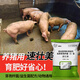 Aizhu Lesu Zhuangmei fattening pig additives for small pigs that do not eat long guanidinoacetic acid premix for large pigs and medium pig concentrated feed 1 bag (weighing 1000 grams) for fattening and weight gain