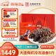 Bangchui Island Organic Dalian Frozen Sea Cucumber 5 Jin Jin is equal to 0.5 kg, gift box 65-75 pieces, sea cucumber solid content 85%, thawed, heated and ready to eat