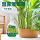 Bamboo nutrient solution hydroponic asparagus rich bamboo red Guanyin Nantian bamboo plant bamboo special A bamboo nutrient solution 300ml*3 bottles