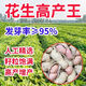 25-year-old new agricultural science peanut seeds, large seeds, disease-resistant, drought-tolerant, stable yield, shelled and flood-resistant field seeds and fruits, 25-year-old new seeds, thin shells and large fruits, Shanhua No. 9, no regrets if you don’t buy it, super original species 10Jin Jin equals 0.5kg, can be distributed in seed breeding base