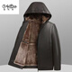 Goldlion middle-aged men's dad leather jacket hooded plus velvet thickening autumn and winter hooded casual warm men's leather jacket hooded pickle green-brown velvet M 52 size_(95-110Jin Jin is equal to 0.5 kg)