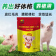 Genuine pig giant feed additives to promote fattening, promote growth, rapid weight gain, and fattening pigs to eat and gain meat 1 bag, 500g bag, pig fattening