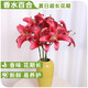 AB-grade high-quality perfume lily flowers hydroponic flower arrangement family life water-raised fresh-cut roses from Yunnan straight hair high-quality AB-grade random color large buds 6 lilies + preservative