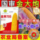 Jinlai 705 National Approval Red Shaft Big Stick Stable Yield Stable Yield Resistance to Diseases Resistant to Blight and Lodging Stable Yield Corn Seeds National Approval Jinlai 705 1 Mu Increased Production Package Affordable
