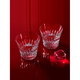 Baccarat Holiday Gift Angel Wings/Crown/Fireworks Light Pair Cup TIARA/Crown No. 3 Cup