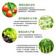 Guoguang Dynamics S-induced antibiotic tobacco citrus disease resistance, cold resistance, salt tolerance, root strengthening, seedling promotion, color change and growth regulator 1000ml