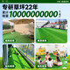 14-pin extra dense high-end artificial artificial fake lawn plastic lawn carpet fake turf outdoor matting balcony green boundary dense velvet model 2 cm thick 1 meter wide how many meters long to take a few pieces