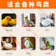 Five-color millet bird feed mixed grain rutin, chicken millet, tiger skin, peony, black phoenix, small and medium-sized parrots 1Jin Jin equals 0.5kg 5Jin Jin equals 0.5kg 500g five-color millet
