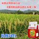 Long-grain fragrant rice Chuanyou 7021 rice seed national standard first-grade fragrant rice has a soft taste but not glutinous and chewy Chuanyou 7021 500g/bag 5 bags