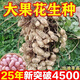 25-year-old new agricultural science peanut seeds, large seeds, disease-resistant, drought-tolerant, stable yield, shelled and flood-resistant field seeds and fruits, 25-year-old new seeds, thin shells and large fruits, Shanhua No. 9, no regrets if you don’t buy it, super original species 10Jin Jin equals 0.5kg, can be distributed in seed breeding base