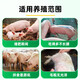Genuine pig giant feed additives to promote fattening, promote growth, rapid weight gain, and fattening pigs to eat and gain meat 1 bag, 500g bag, pig fattening