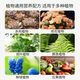 Russia imported compound fertilizer for vegetable farming, compound fertilizer for growing vegetables, special nitrogen, phosphorus and potassium compound fertilizer for growing flowers, 100 Jin Jin is equal to 0.5 kg, black granules 200 Jin Jin is equal to 0.5 kg, four bags are sent, the original packaging is in stock quickly