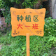 定制木牌子公园菜园菜地木质草地种植区指示牌立式插地牌爱护花草 9款30*40CM