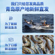 Bai Xian Qia Salted Frozen Prawns Live Frozen Basic Shrimps White Prawns Fresh Prawns Sea Shrimps Seafood Aquatic Products Late Night BBQ Hot Pot Ingredients Salt Frozen Large Prawns 60-75 pieces/box 3Jin Jin is equal to 0.5kg (net weight)
