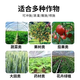 Yuntianhua Urea Fertilizer Wholesale Nitrogen Fertilizer for Vegetables, Fruit Trees, Flowers, Vegetables and Flowers Plant Fertilizer General Type 80Jin Jin equal to 0.5kg Large Pack