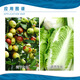Guoguang Tiandu 8% Aminobutanol Chinese Cabbage Promotes Growth Nutrient Absorption Growth Regulator 500g