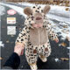 Ultraman Winter New Infant Leopard Print Thickened Harness Baby Casual Warm One-piece Romper Suit One Year Old Outing Clothes D34 66 D34 Leopard Print Thickened Harness - Yellow One Size