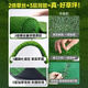 Renowned in Jiuzhou, simulated lawn carpet, fake turf bedding, plastic outdoor artificial court, artificial fence, artificial turf, 2 meters wide * 20 meters long, grass height 2 cm