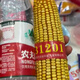 Luodong original Zhongbo 1201 corn seed, nationally approved short-stem new corn with over ton yield per mu, disease resistance, insect resistance and lodging resistance, red shaft Zhongbo ZB1201 (4200 grains in one bag)