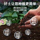 Nutrient soil for growing flowers and vegetables, organic orchid and succulent plant potting, coconut brick soil, universal type, organic nutrient soil 10Jin Jin is equal to 0.5kg, specially developed formula by horticulturists